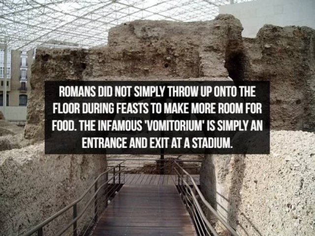 Interesting Facts (19 pics)