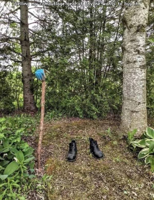 Jokes And Photos For A Good Mood (41 pics)