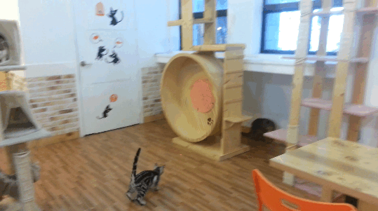 Jokes And Photos For A Good Mood (41 pics)