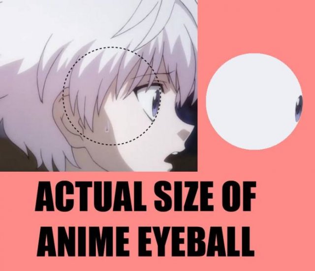 You Can't Unsee This (17 pics)