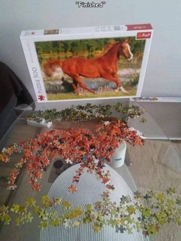 Jokes And Photos For A Good Mood (41 pics)