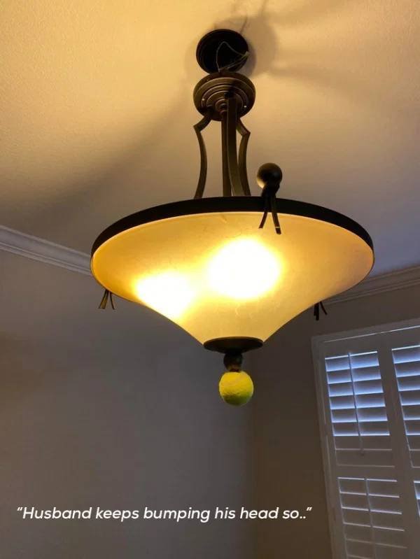 Jokes And Photos For A Good Mood (41 pics)