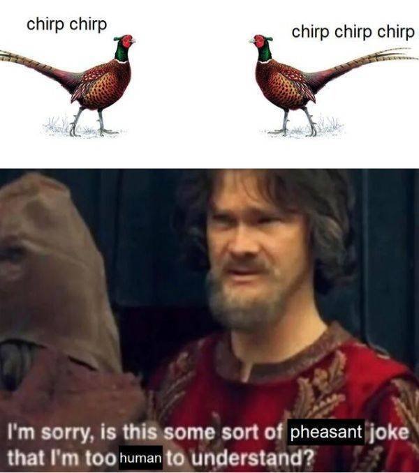 Funny Memes (21 pics)