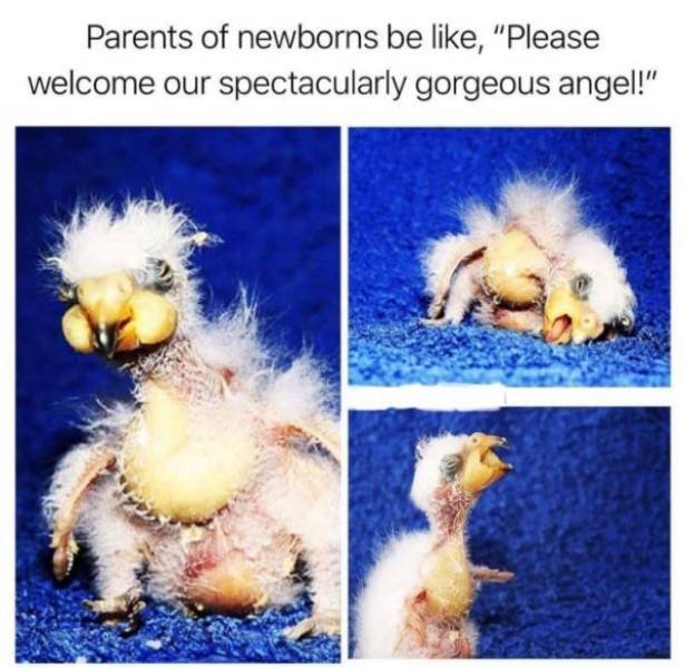 Funny Memes (21 pics)