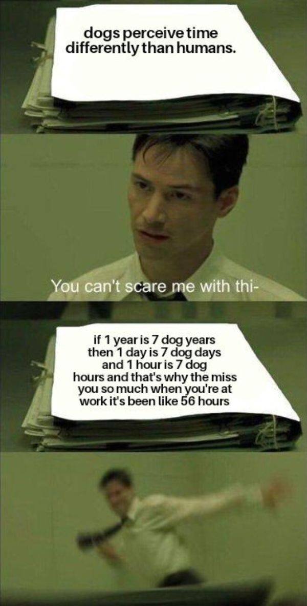 Funny Memes (21 pics)