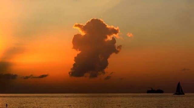 You Can't Unsee This (17 pics)