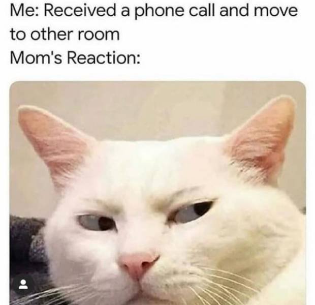 Funny Memes (21 pics)