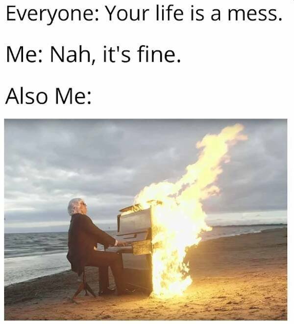 Truthful Memes (15 pics)