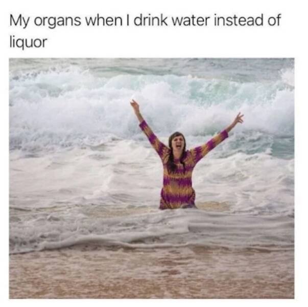 Truthful Memes (15 pics)