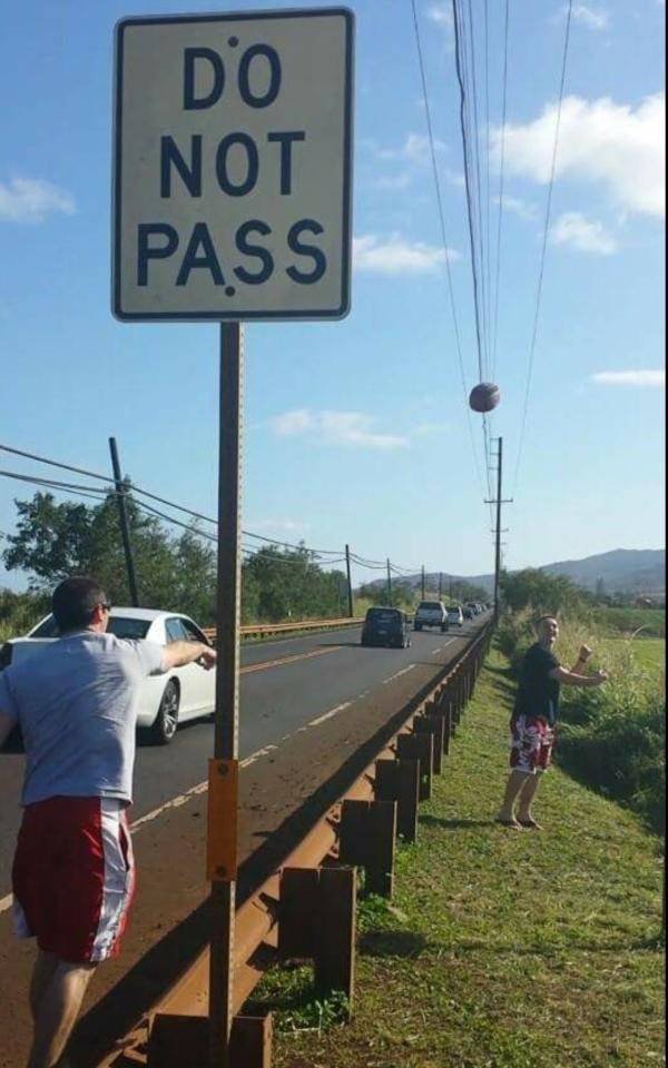 They Don't Care About The Rules (52 pics)