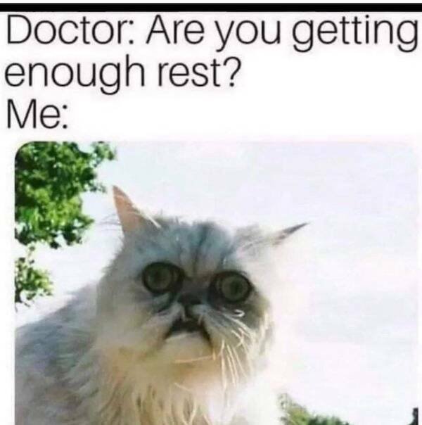 Truthful Memes (15 pics)