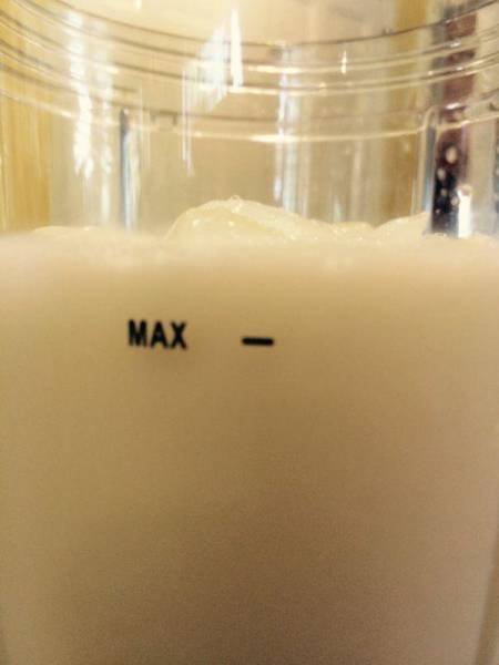 They Don't Care About The Rules (52 pics)