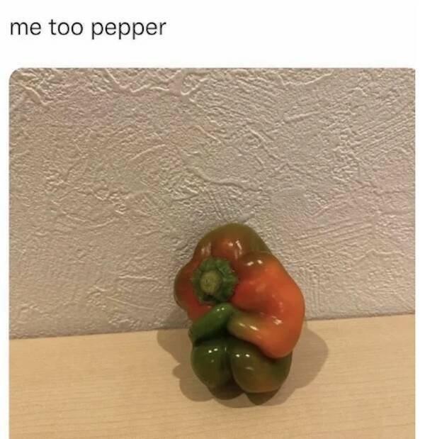 Truthful Memes (15 pics)