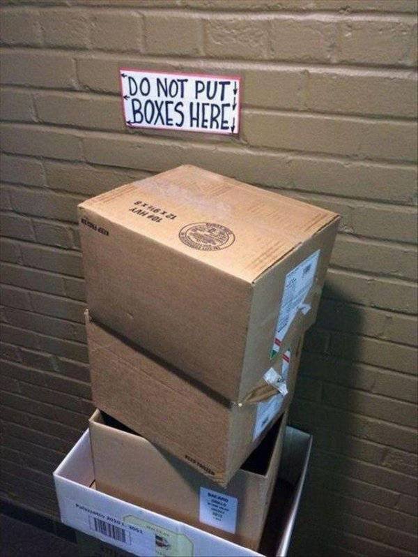 They Don't Care About The Rules (52 pics)