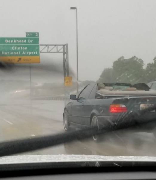 They Don't Care About The Rules (52 pics)