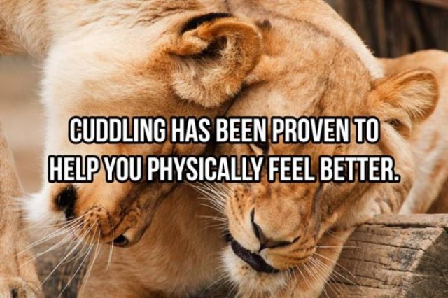 Random Facts (25 pics)