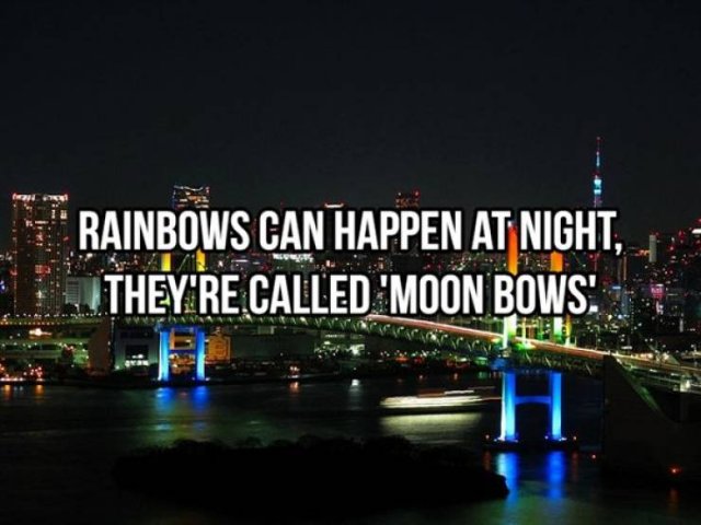 Random Facts (25 pics)