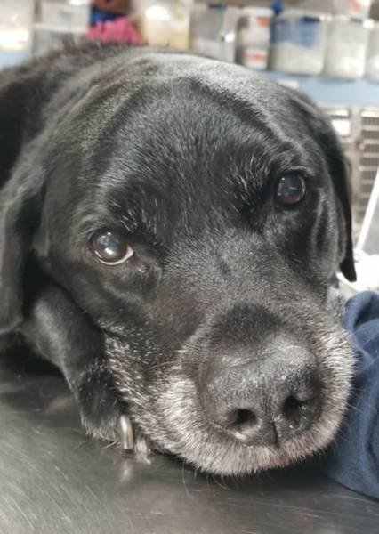 Emotional Photos (25 pics)