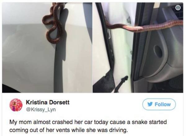 Annoying Finds And Situations (45 pics)