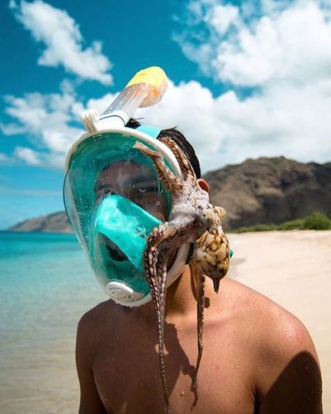 Annoying Finds And Situations (45 pics)