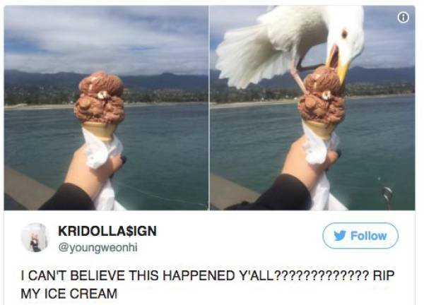 Annoying Finds And Situations (45 pics)