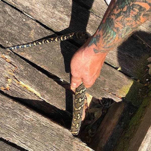 Annoying Finds And Situations (45 pics)