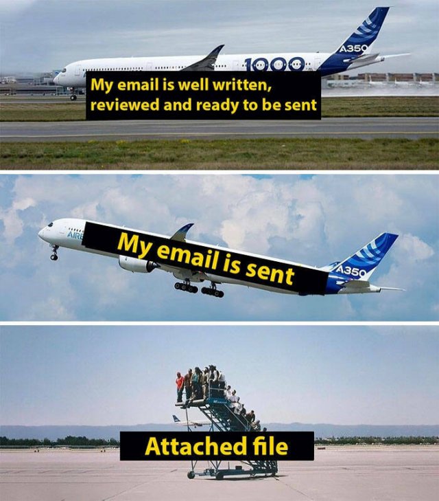 Random Memes (24 pics)