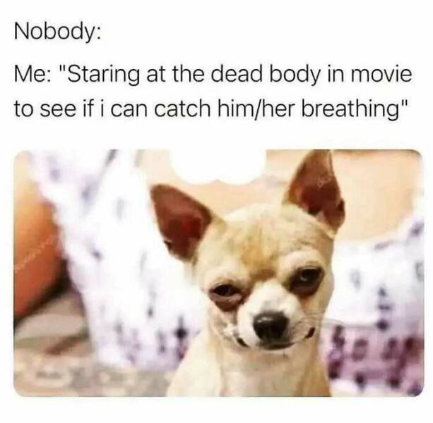 Random Memes (24 pics)