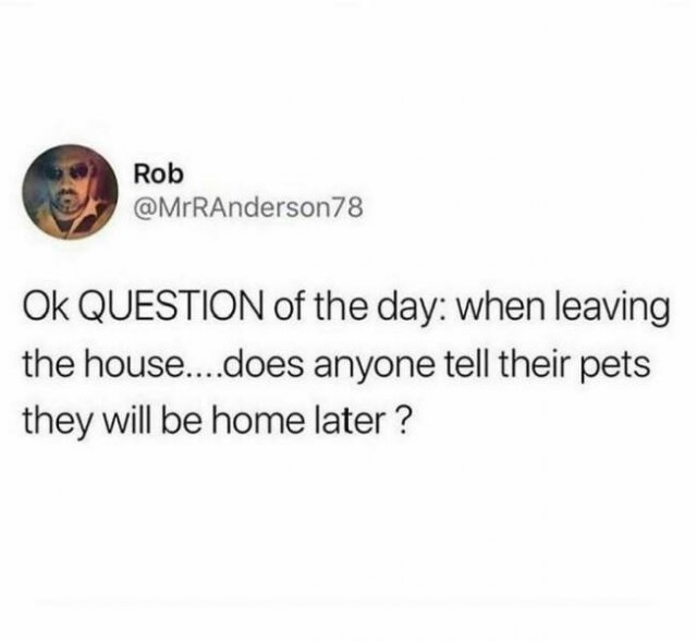 Random Memes (24 pics)