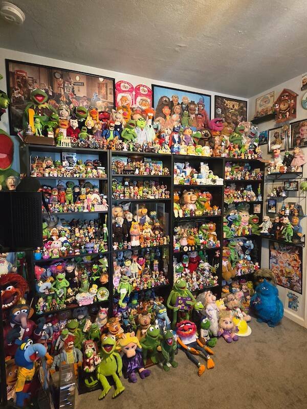 Amazing Collections (23 pics)