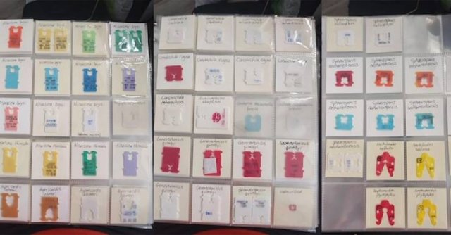 Amazing Collections (23 pics)