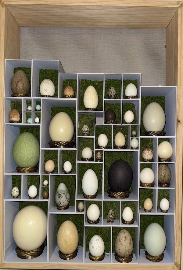 Amazing Collections (23 pics)