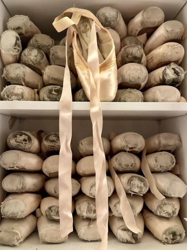 Amazing Collections (23 pics)