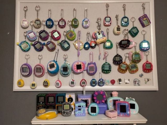 Amazing Collections (23 pics)