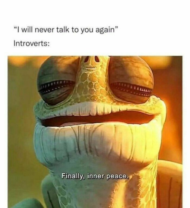 Memes For Introverts (25 pics)