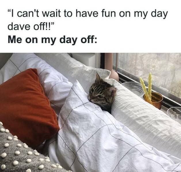 Memes For Introverts (25 pics)