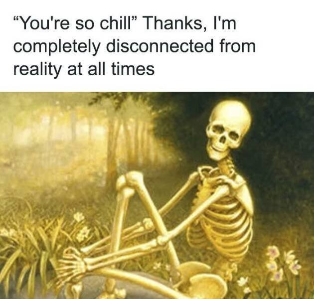 Memes For Introverts (25 pics)