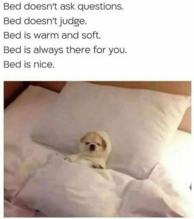 Memes For Introverts (25 pics)