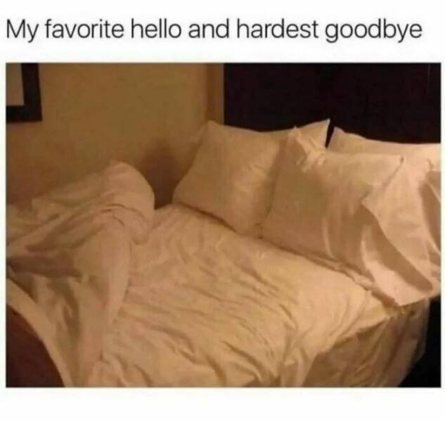 Memes For Introverts (25 pics)