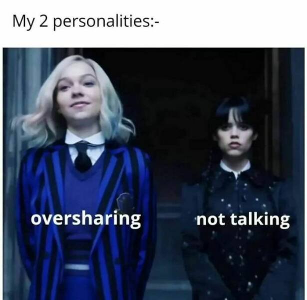Memes For Introverts (25 pics)