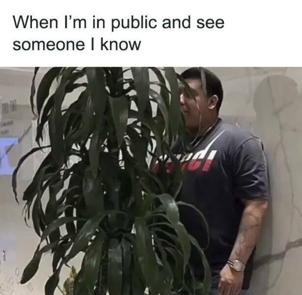 Memes For Introverts (25 pics)