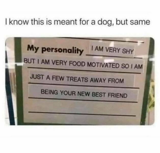 Memes For Introverts (25 pics)