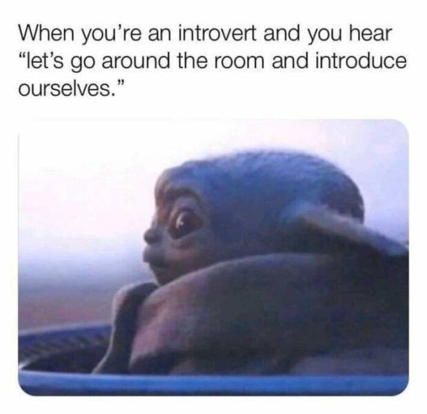Memes For Introverts (25 pics)