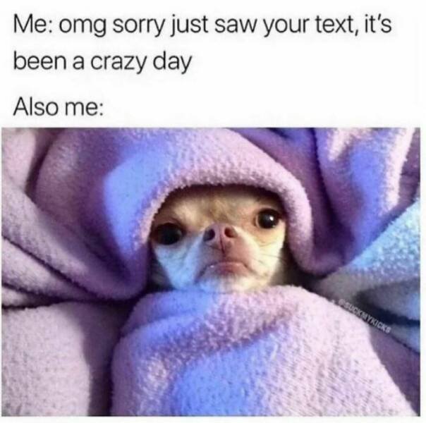 Memes For Introverts (25 pics)