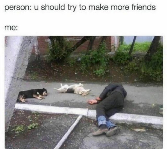 Memes For Introverts (25 pics)
