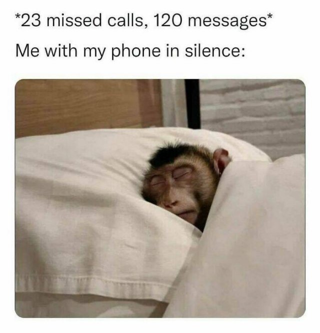 Memes For Introverts (25 pics)