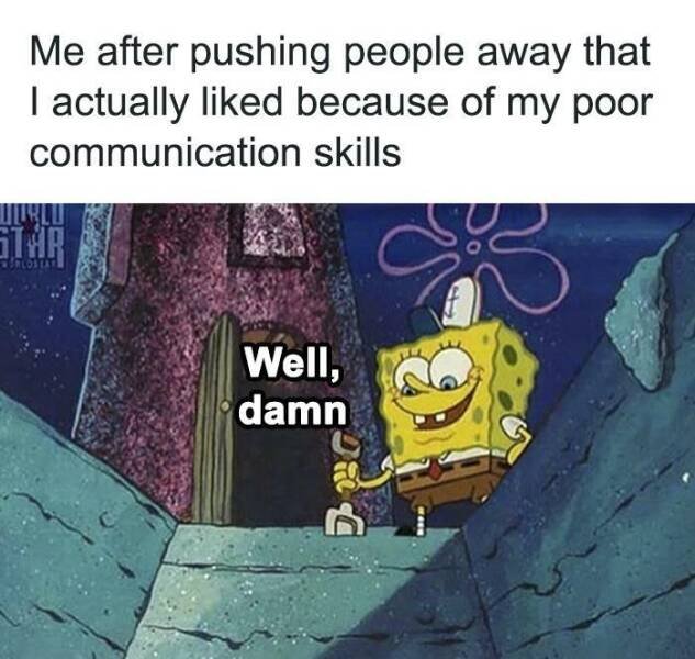 Memes For Introverts (25 pics)