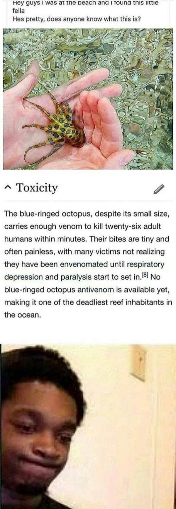 Crazy Australia (35 pics)