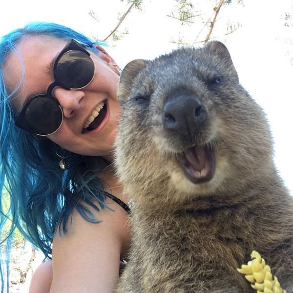 Crazy Australia (35 pics)