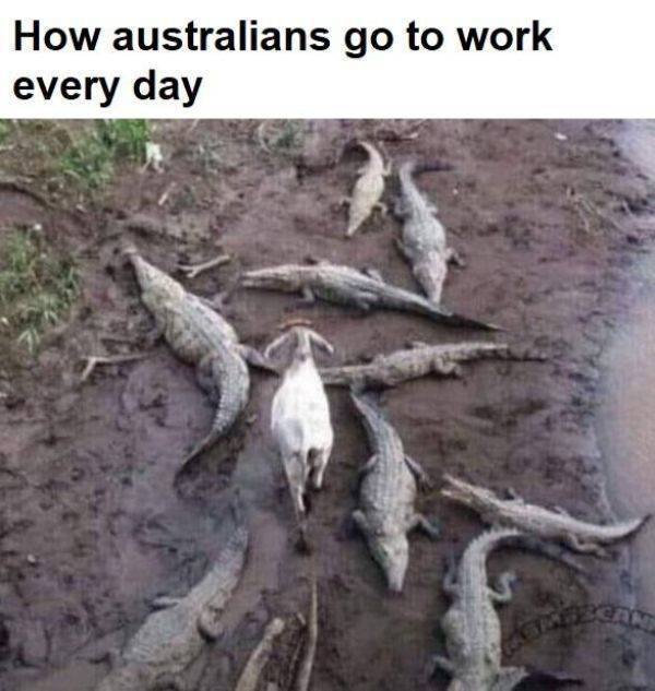 Crazy Australia (35 pics)